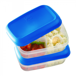 ▷ Sistema Recipiente de Plástico para Almuerzo, 1.24 L ©