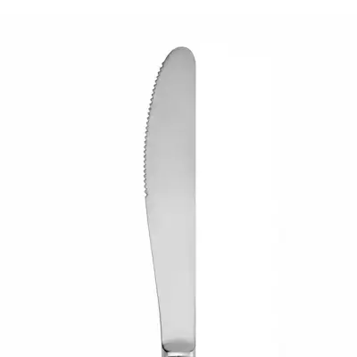 Docena de Cuchillos de Mesa en Acero Inoxidable | Resistentes y Duraderos